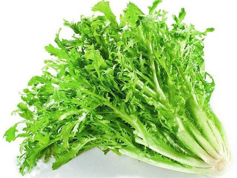 食材配送從生產(chǎn)、采摘再到蔬菜配送無縫銜接